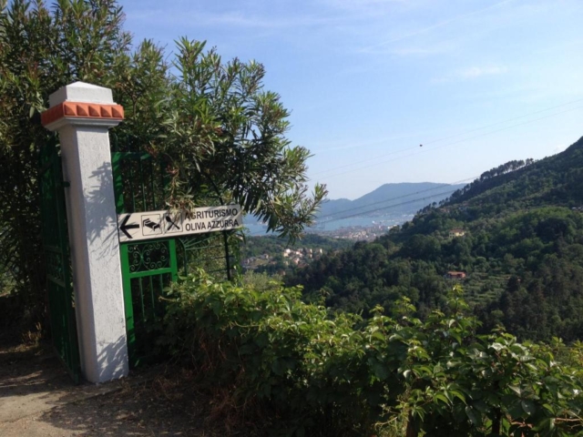 AgriturismoOlivaAzzurra03