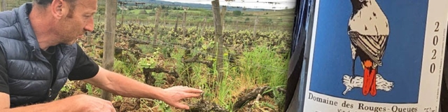 DomaineDesRougesQueues